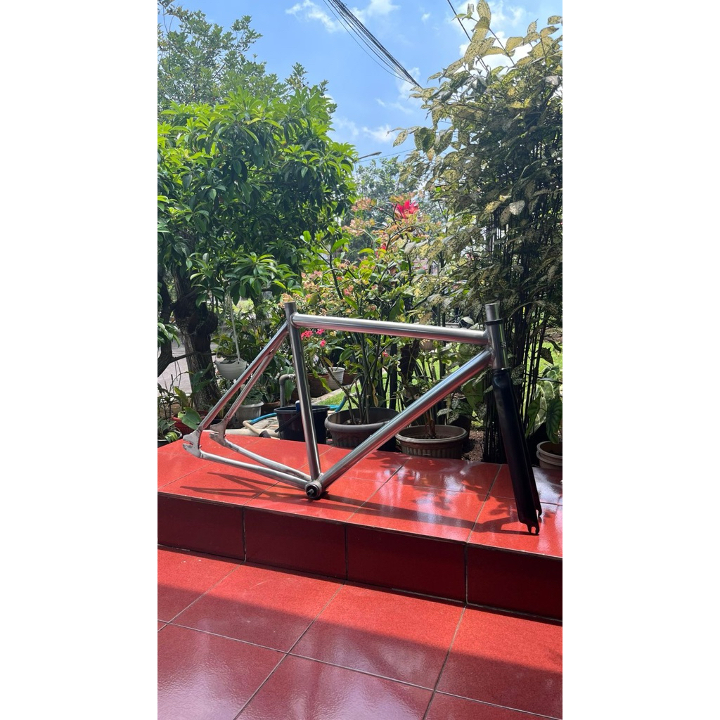 Frame only soloist 71