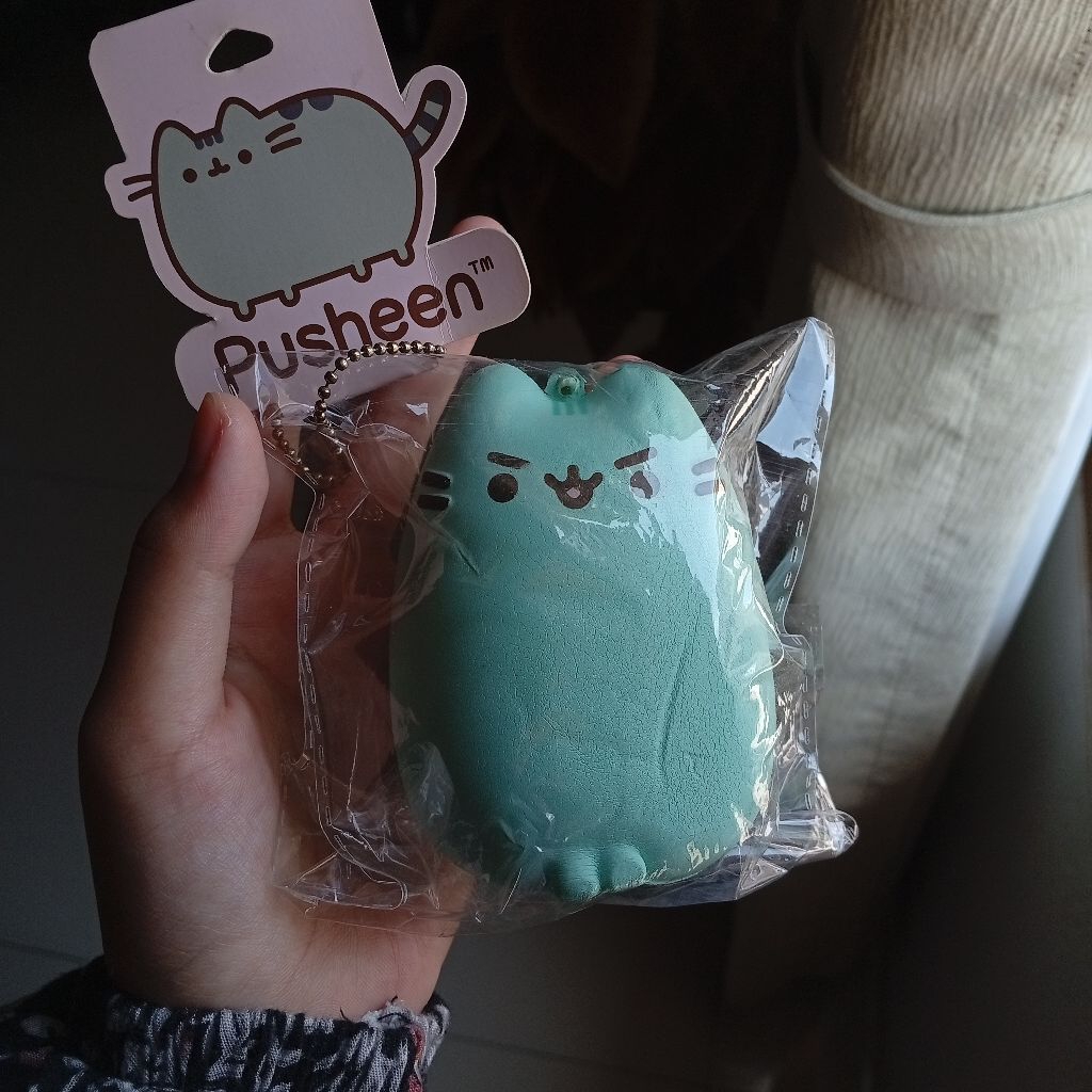 Preloved Squishy Pusheen