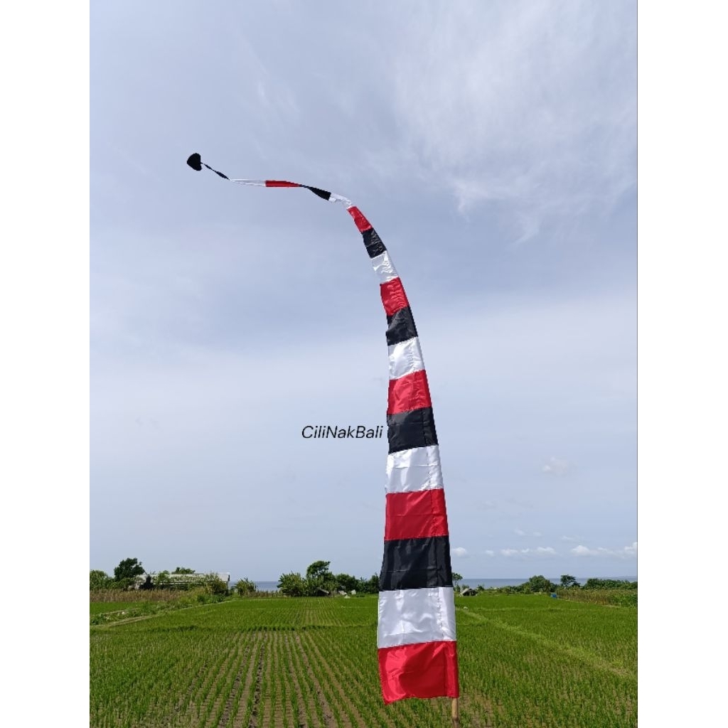 Umbul Umbul Bali Pontang Tridatu