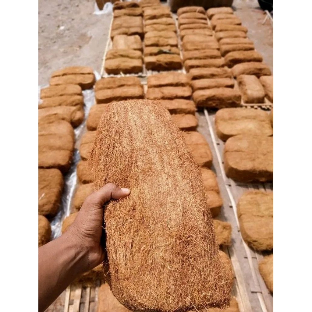 TBK tambeng super gudang original jenis kacubung