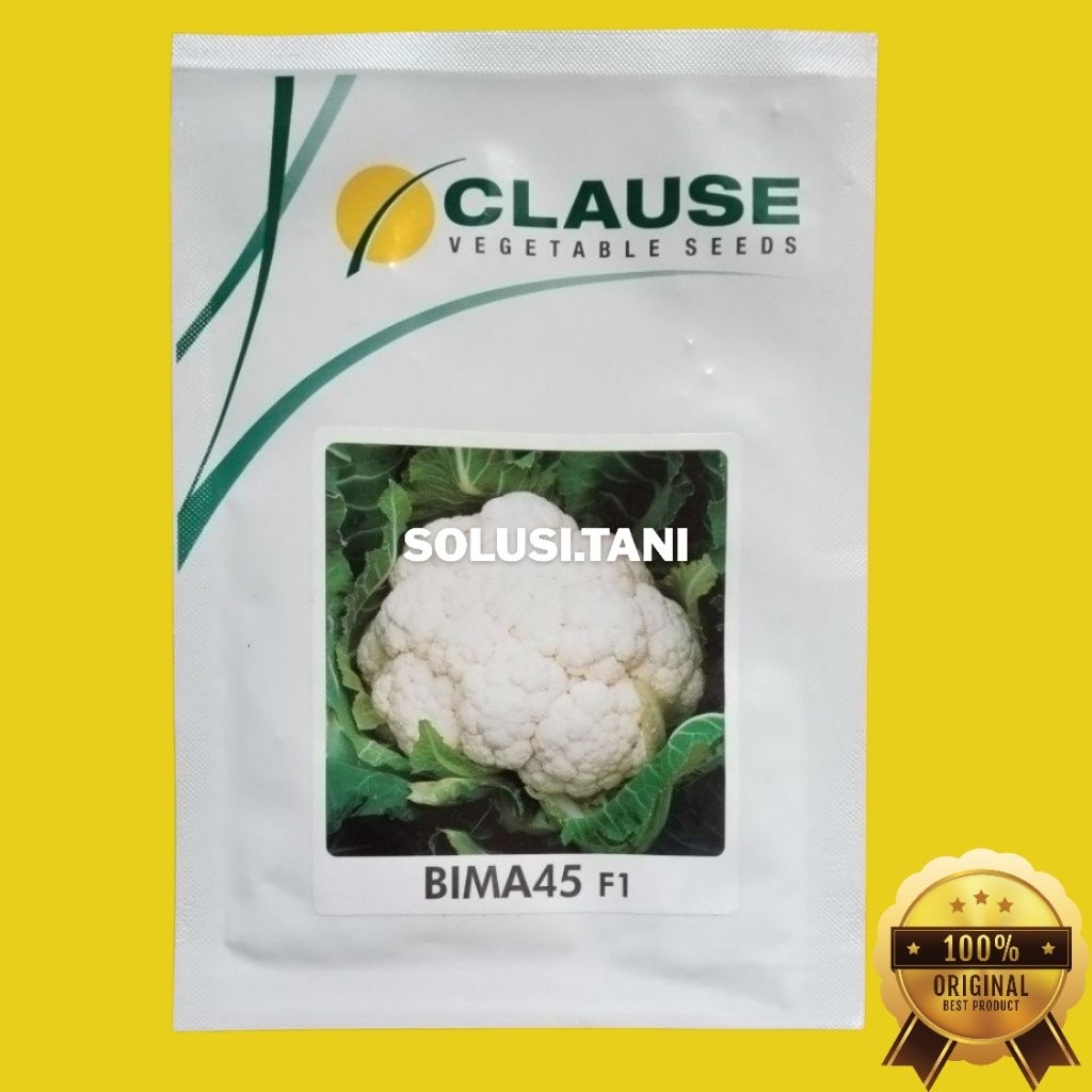 Benih BIMA 45 F1 - Clause Seed