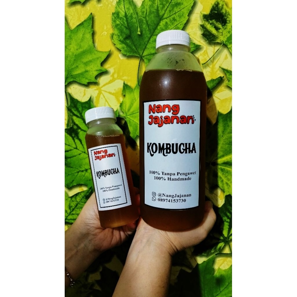 Kombucha Fresh Baru Panen