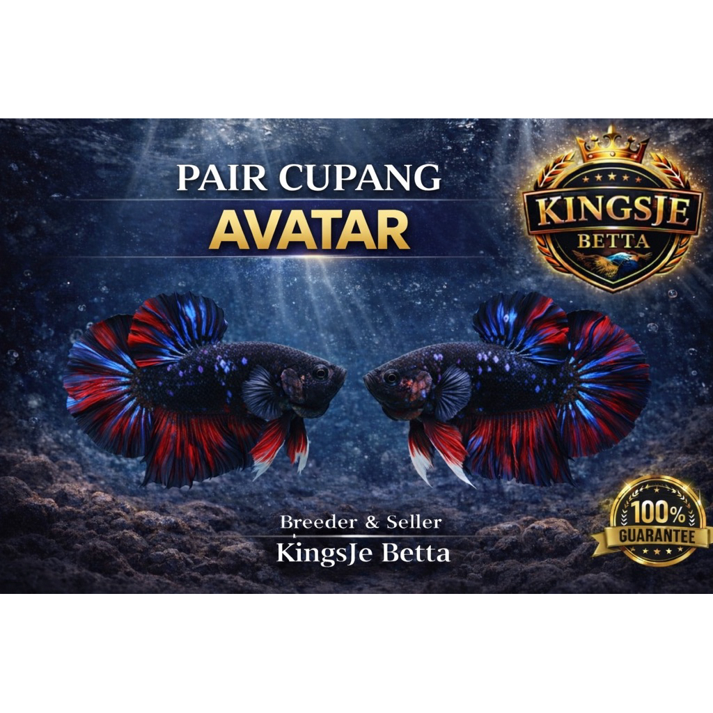 [Avatar Gordon] Avatar Gordon Nemo | TOP GRADE RANDOMm