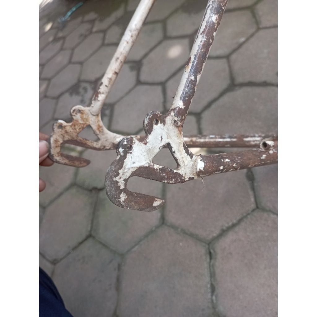 frame only bajul 700c