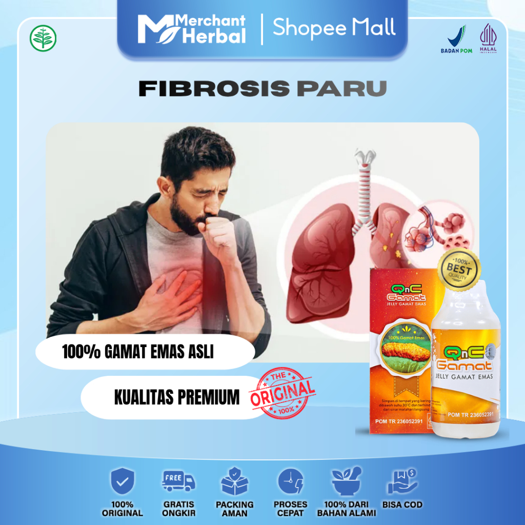 Obat Fibrosis Paru - Sesak Susah Nafas - Batuk Batuk - Infeksi Paru - Pneumonia QnC Jelly Gamat