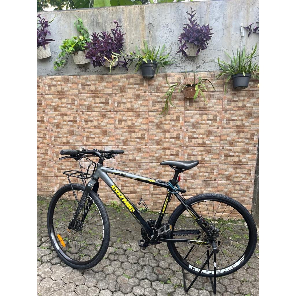 Polygon Cozmic CX4.0