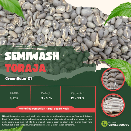 Grade 1 Semi Wash Toraja Green Beans | Biji Kopi Mentah