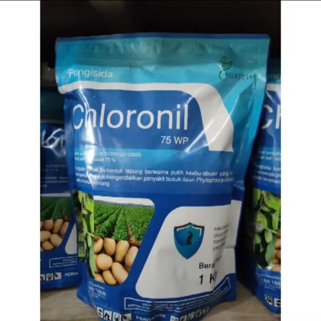 Chloronil fungisida 75 wp AGRITIM mengendalikan busuk daun phytophtora