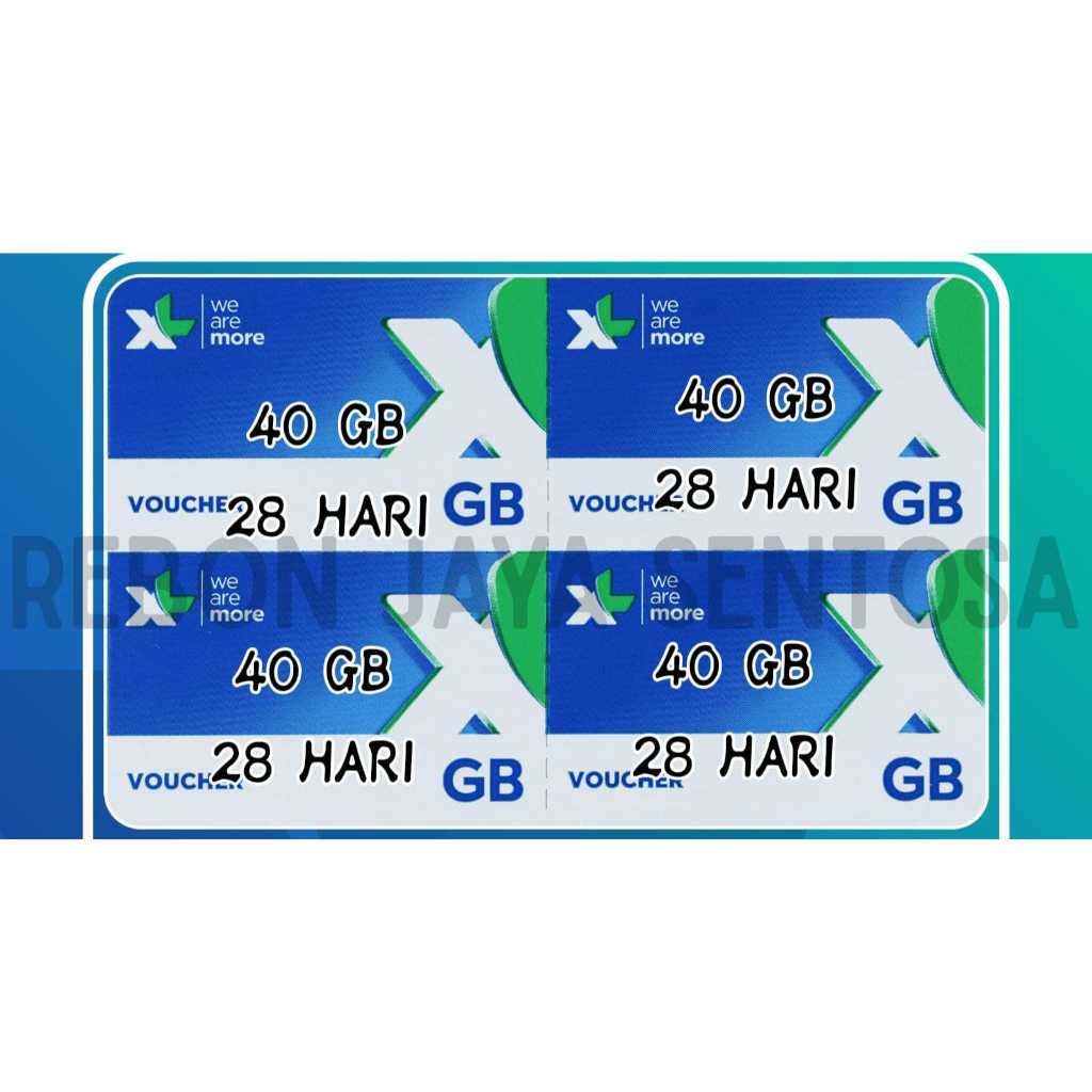 V XL FlexMax 40Gb 28D (NAS 40Gb)