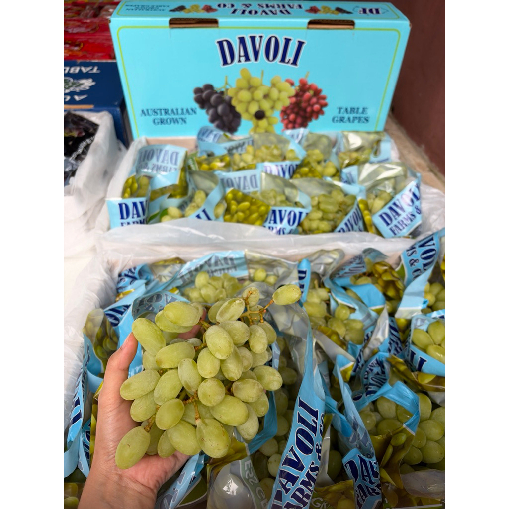 Anggur Thomson Davoli Best Quality