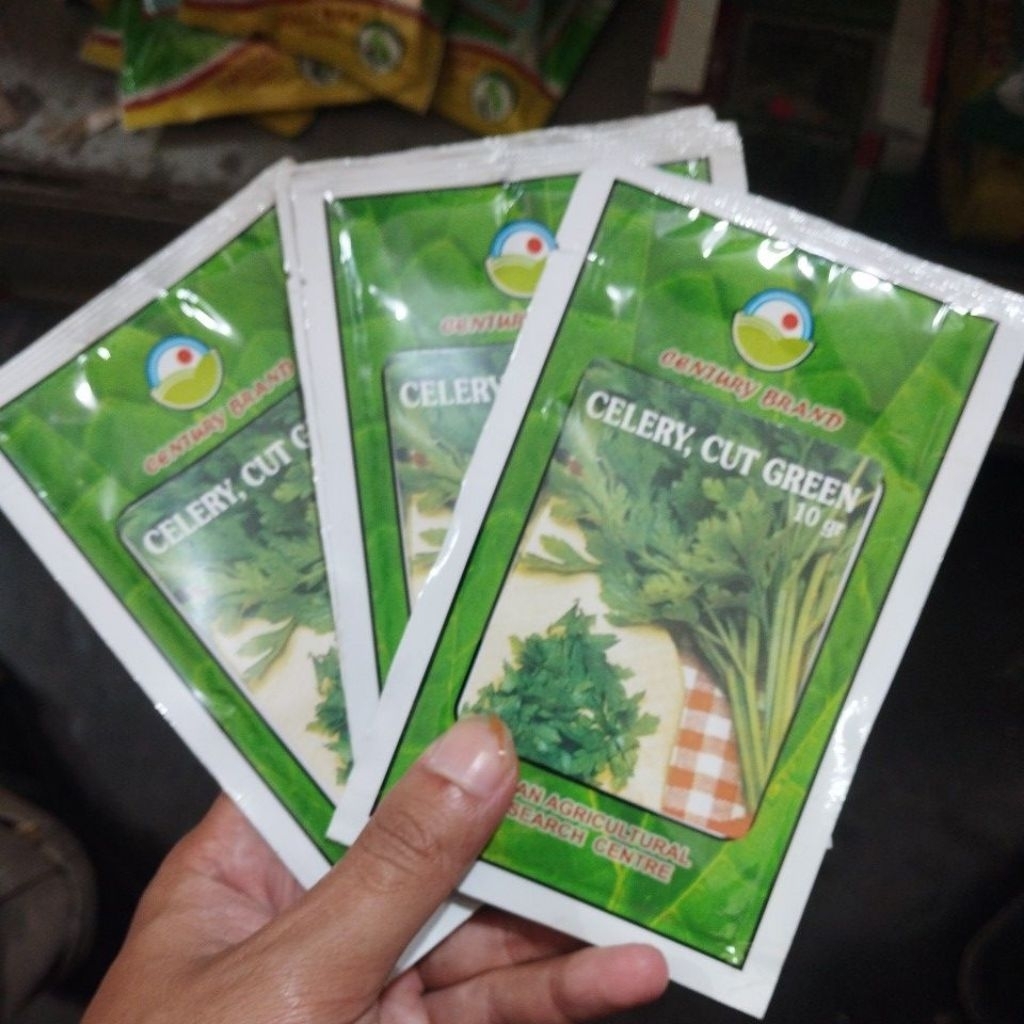 Bibit unggul benih Seledri CELERY, CUT GREEN 10gr l