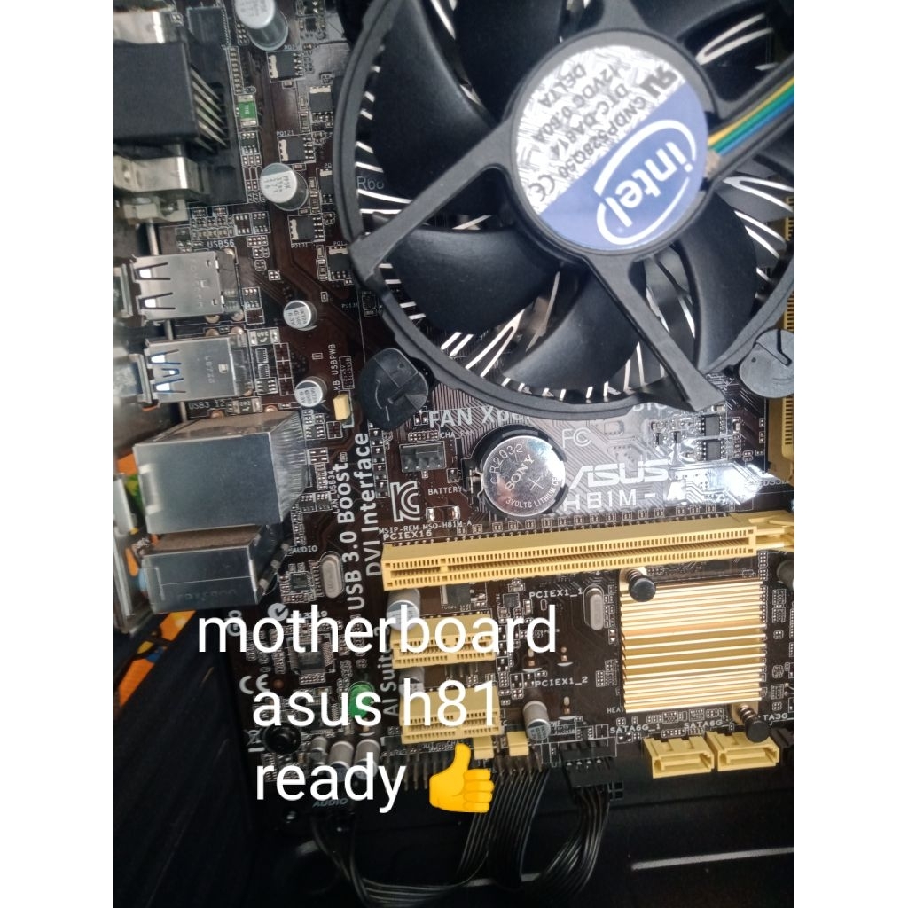 motherboard asus h81 soket 1150