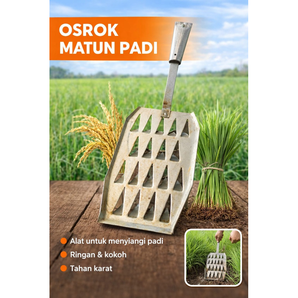 Osrok Padi sawah Alat Matun Garuk Padi alat penyiang rumput padi