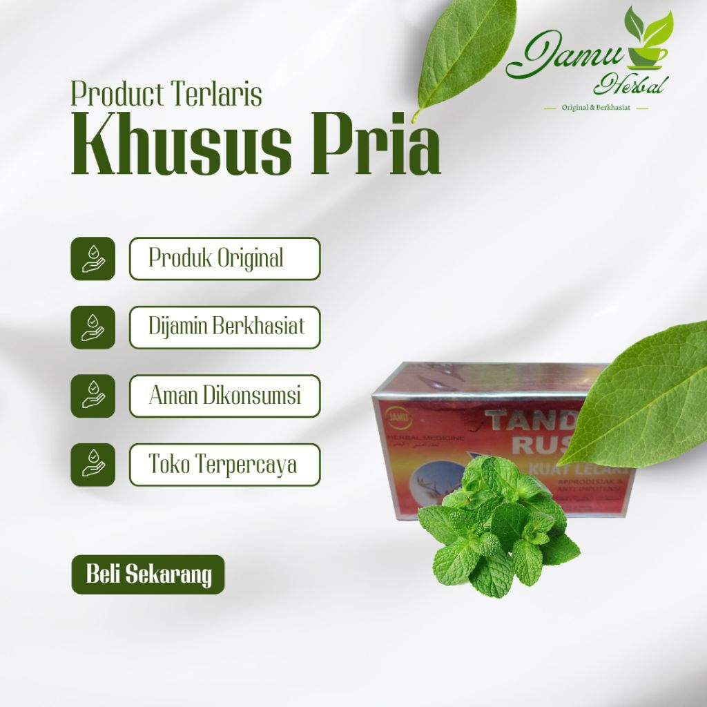 asli//tanduk//original//rusa//kapsul