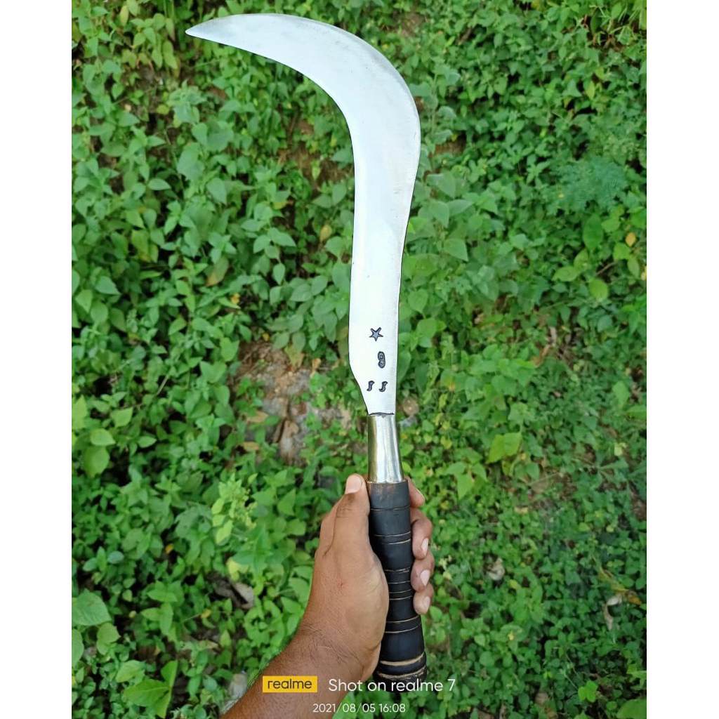 sabit rumput bintang sembilan madura