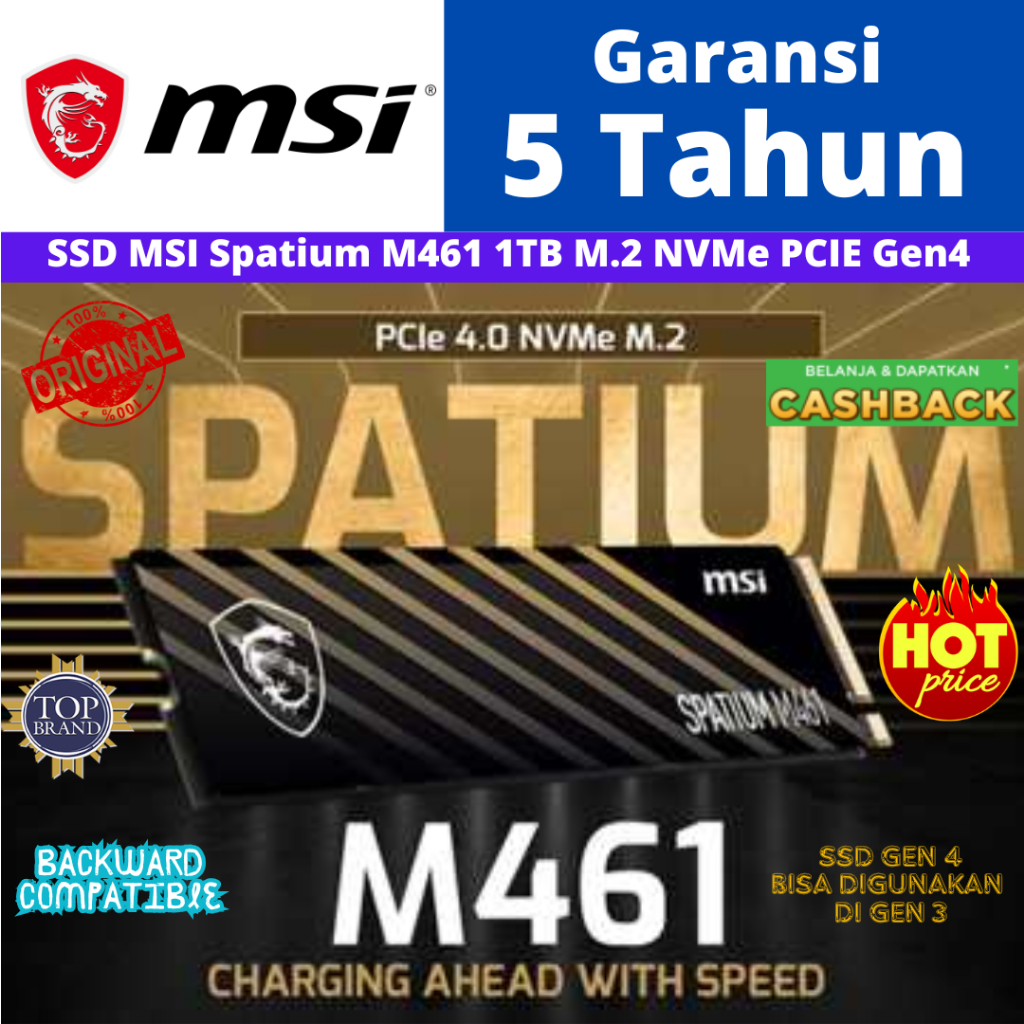 MSI Spatium M450  M461 1TB M.2 NVMe PCIE Gen4 SSD