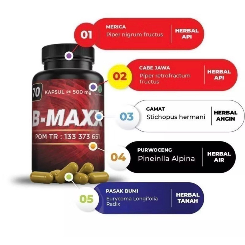 B-MAXX SUPLEMEN KESEHATAN 100% ORIGINAL