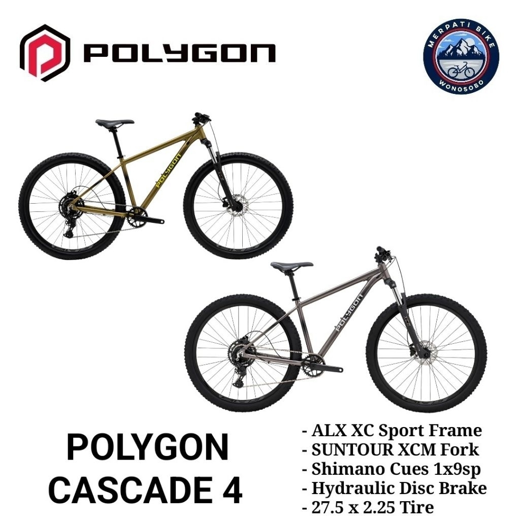 Polygon Cascade 4