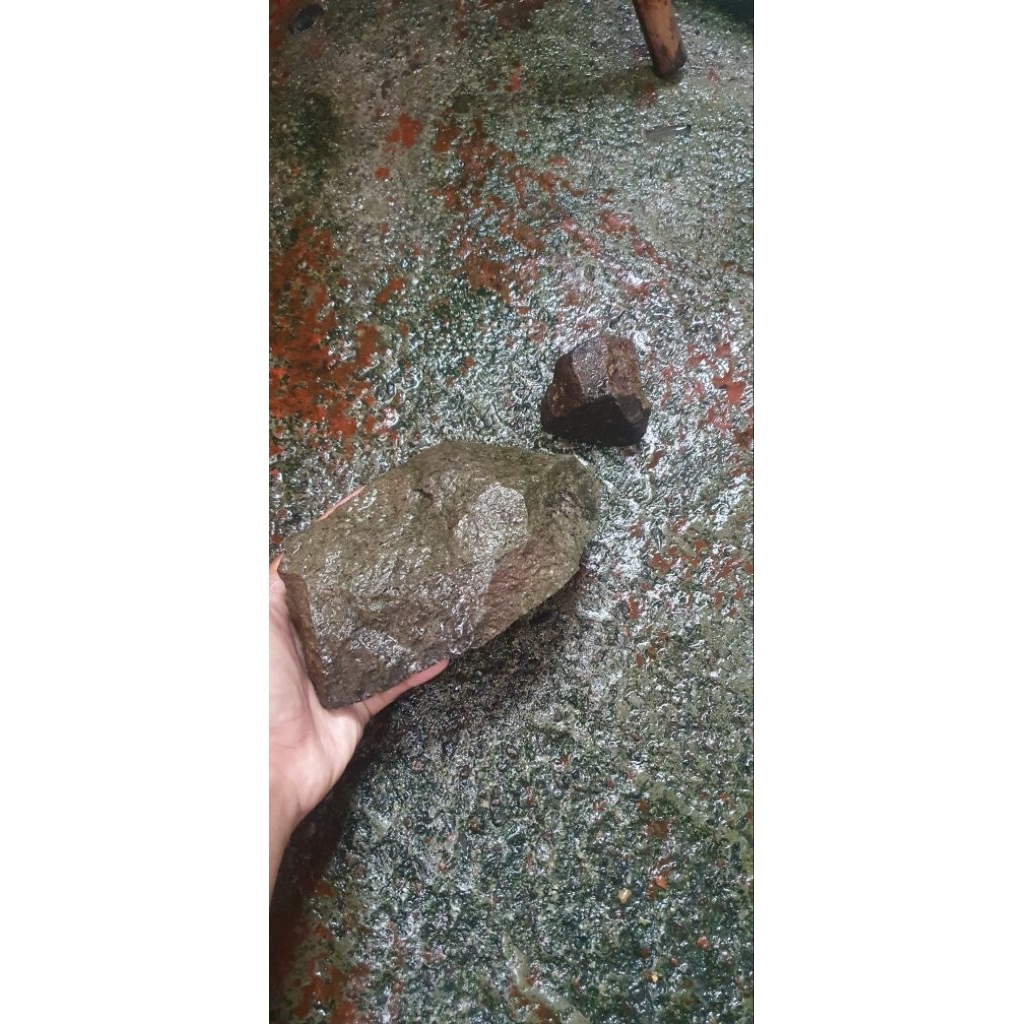 Batu alam aquascape paludarium diorama biotop