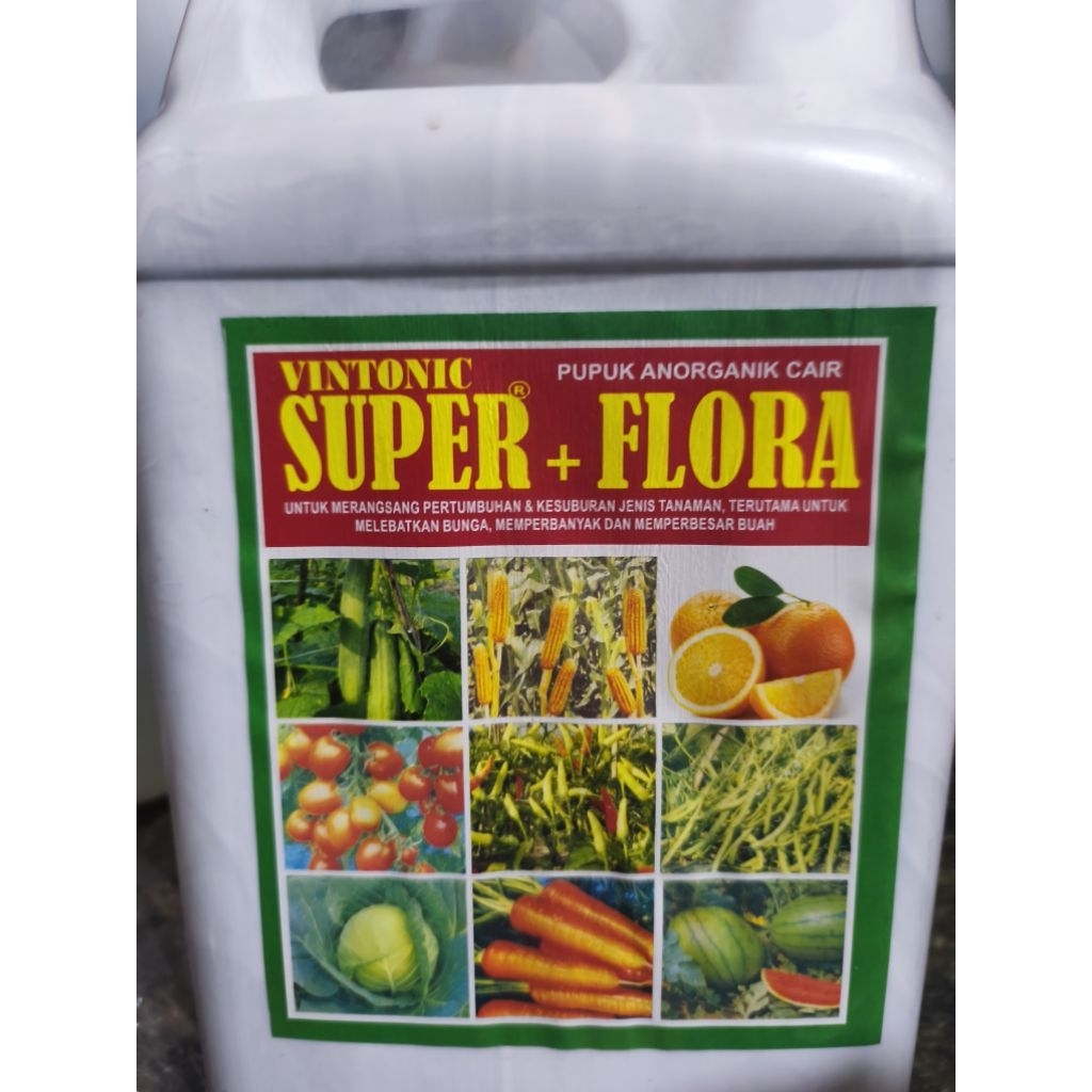 vvintonic super flora