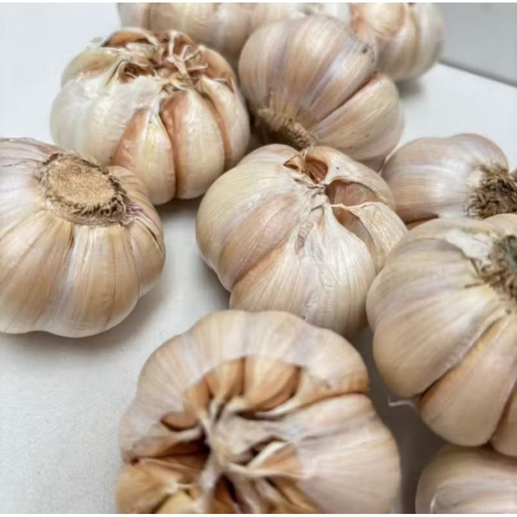 Bawang Putih Kupas 1Kg Fresh Bersih | Kualitas Super Murah Grosir Bawang putih 1kg Bawang putih kupa