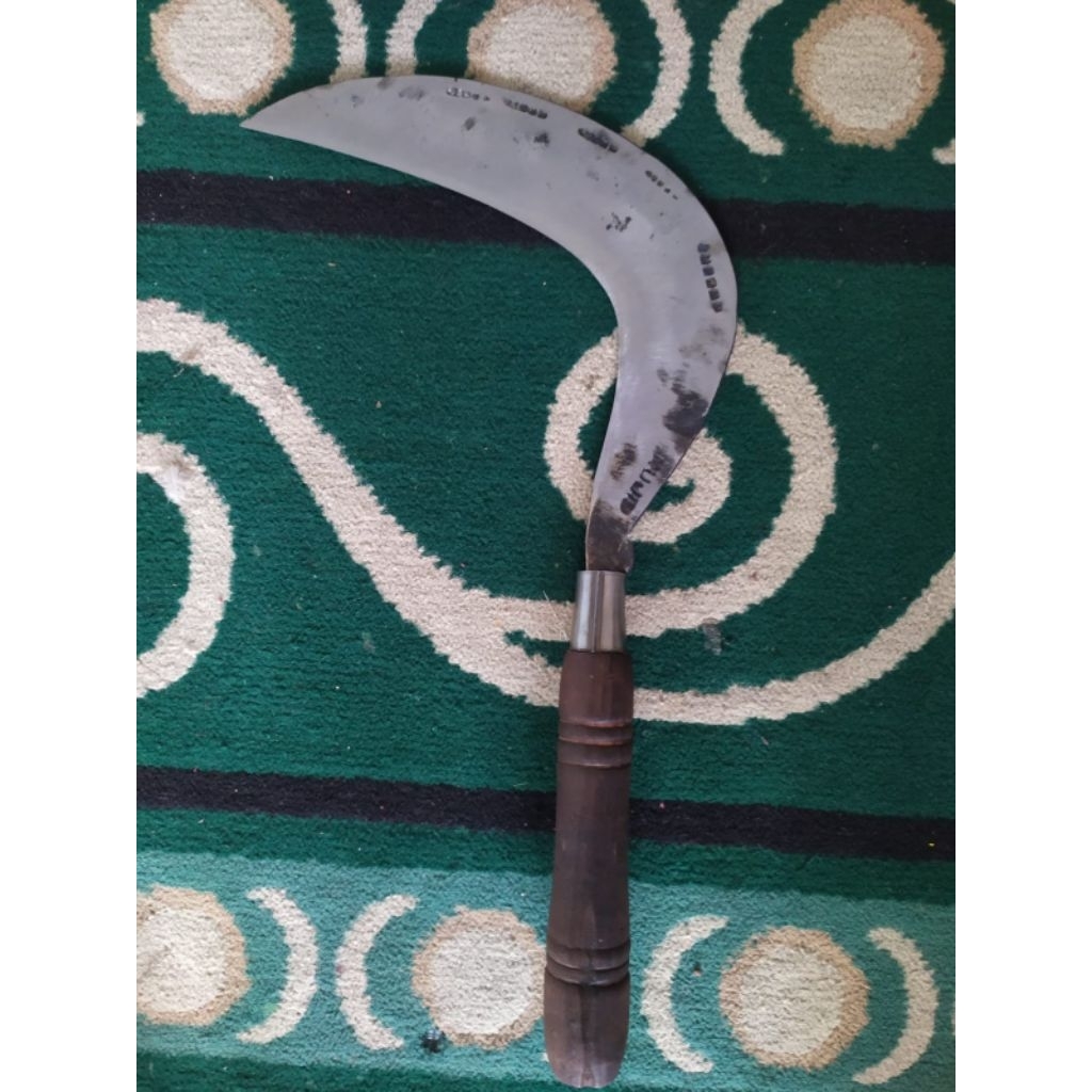 arit rumput baja isen premium asli wonosobo