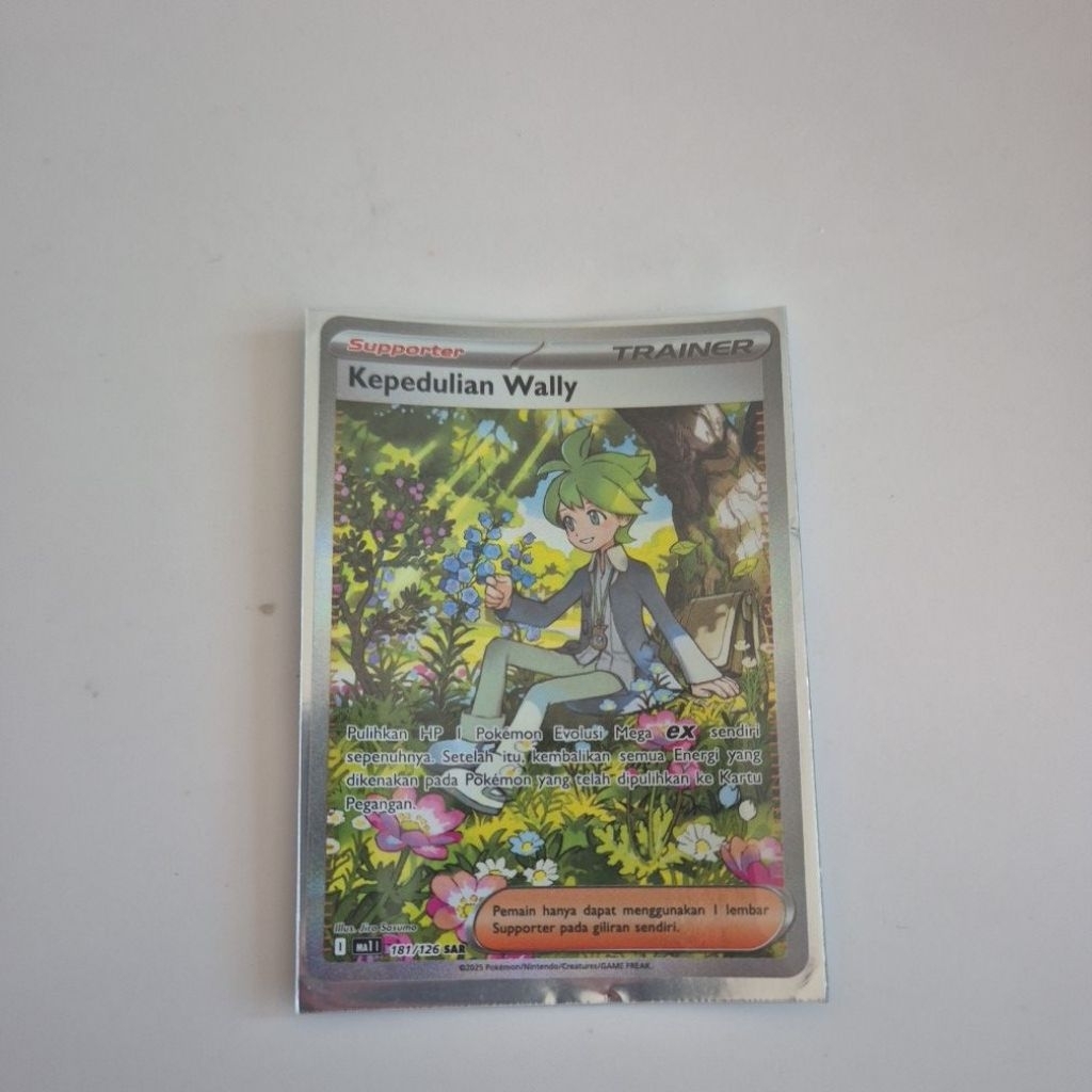 ORI Kepedulian Wally SAR Supporter