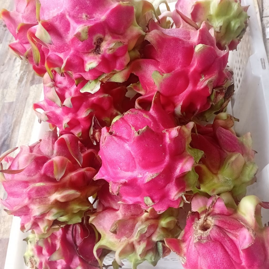 [Instant Medan] Buah Naga Merah Segar Manis grade A, 1 kg | Buakita