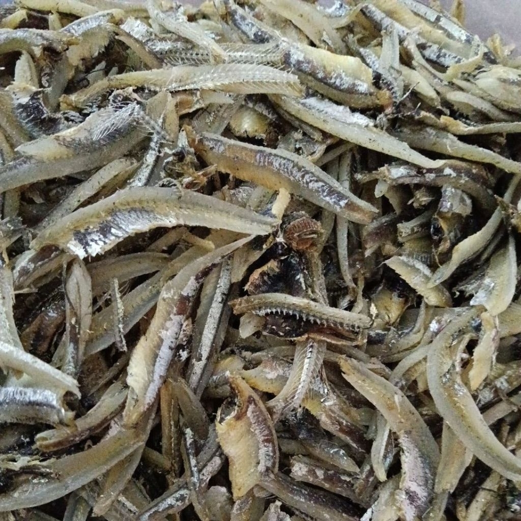ikan teri jengki / ikan teri belah