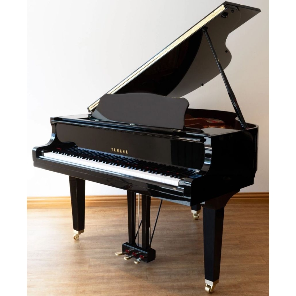 Piano Baby Grand GB1K-PE