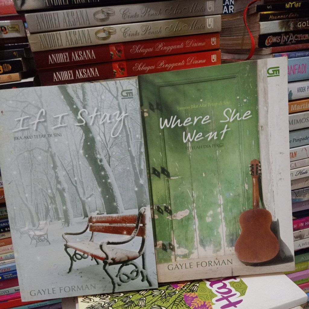 novel GAYLE FORMAN