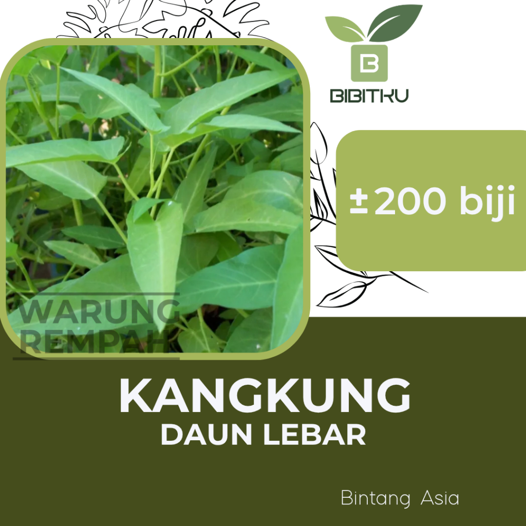 Benih Kangkung Daun Lebar Rajawali