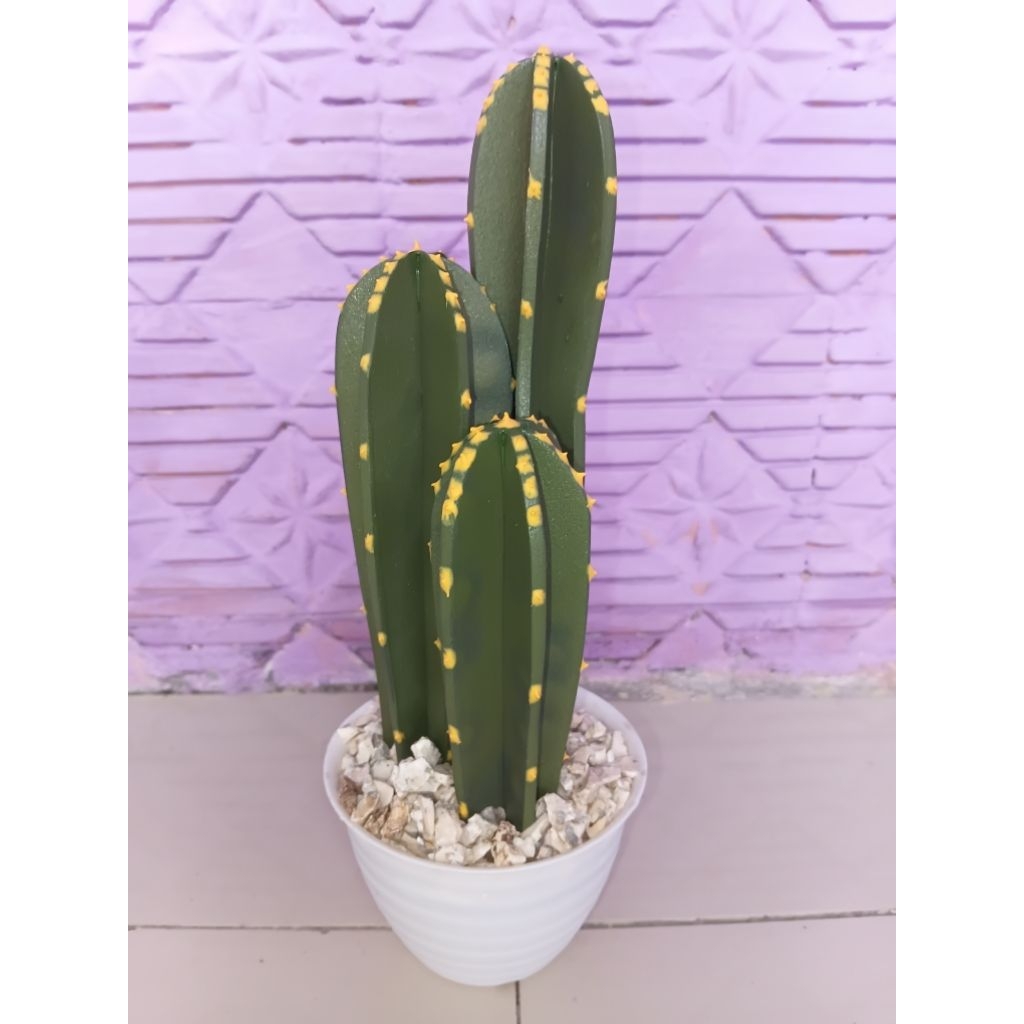 Kaktus Koboi  berduri mini set kaktus + pot + batu kerikil Ukuran Tinggi 40-50cm, Cocok untuk Dalam 