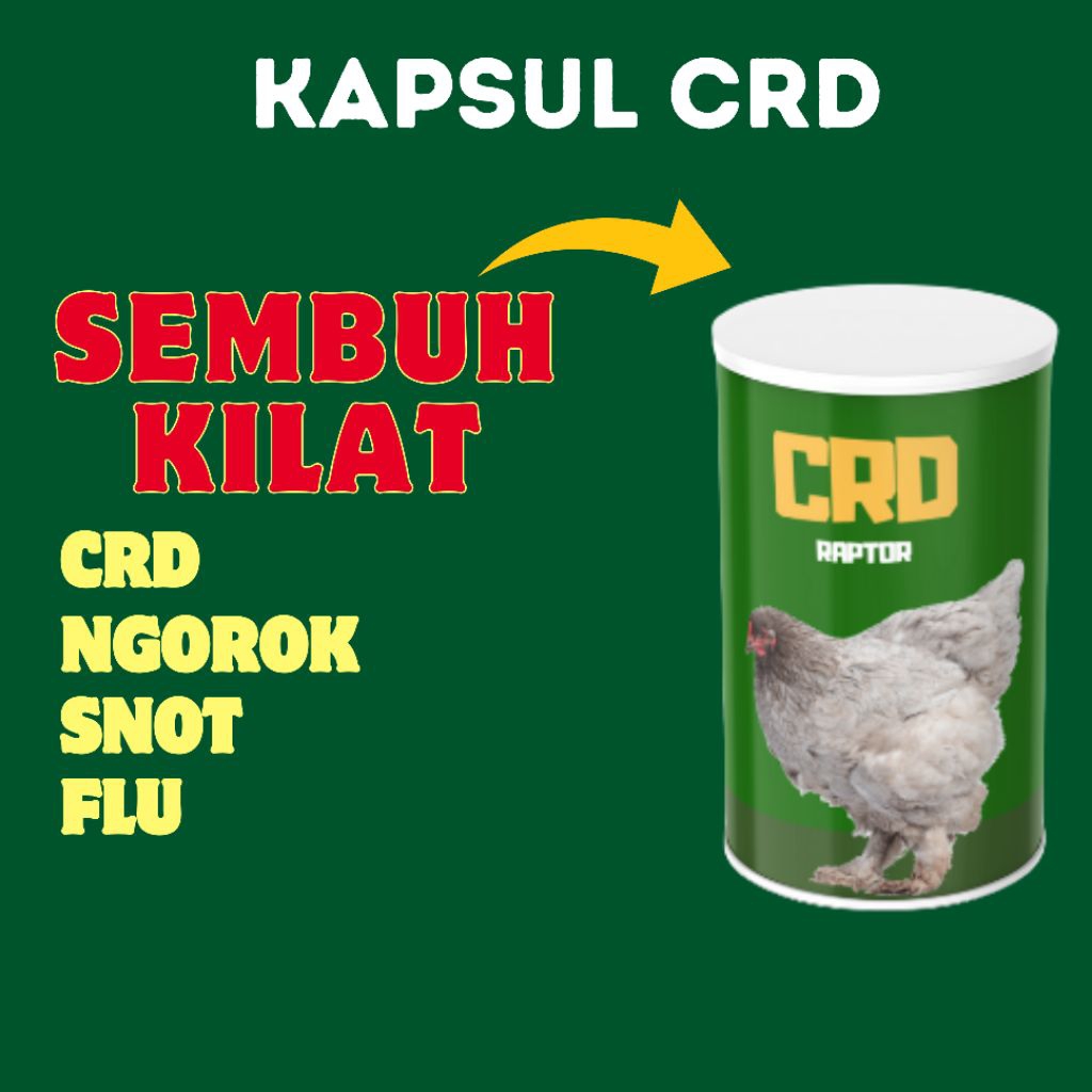 Obat Ayam Ngorok CRD SNOT FLU RAPTOR