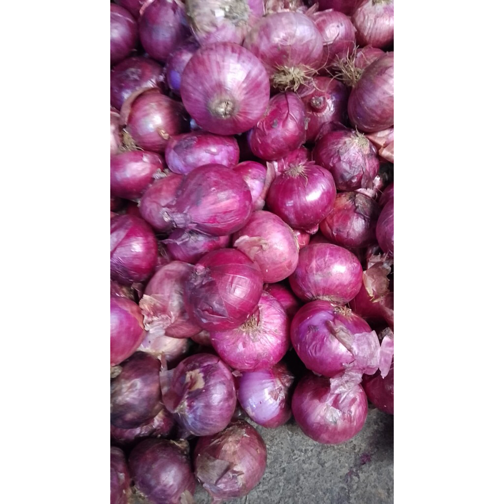 Bawang merah peking 1 kg