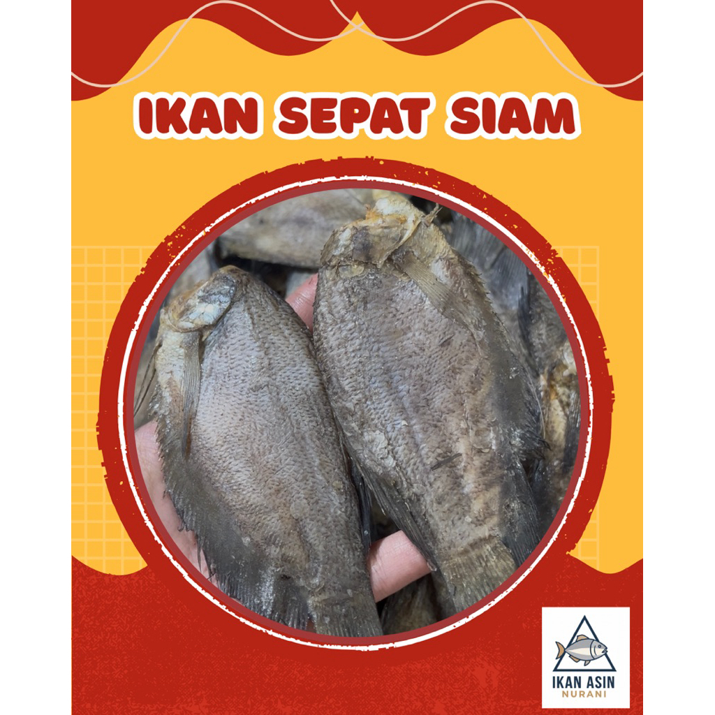 ikan asin sepat siam grade A+++ 500g bestseller | sepat besar