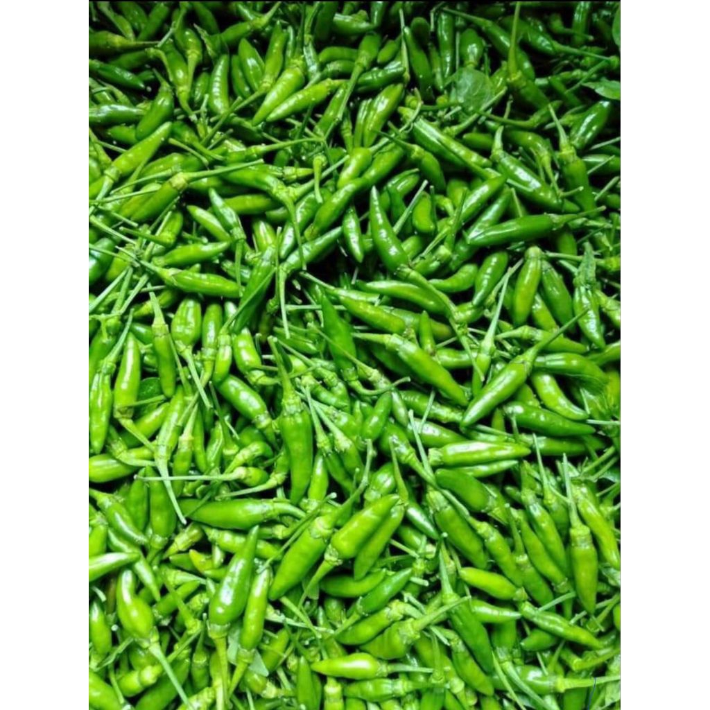 cabe / cabai rawit hijau 1kg