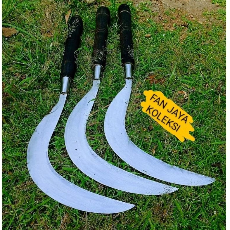 ARIT BERKEBUN,RAMBANAN,,RANTING2 KECIL,,JAGUNG, RUMPUT GAJAHAN,DLL ASLI MADURA