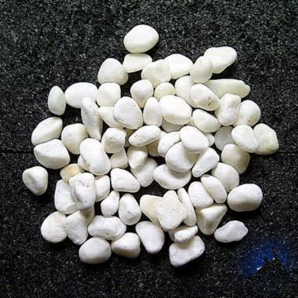 Batu Koral Putih / Batu Taman /Batu Bulat Kecil Putih