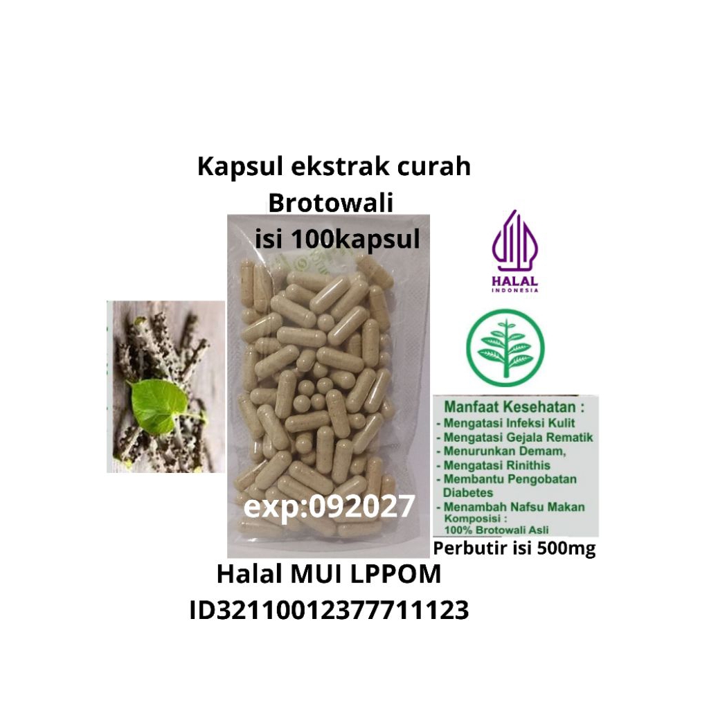 KAPSUL EKSTRAK CURAH BROTOWALI ISI 100KAPSUL