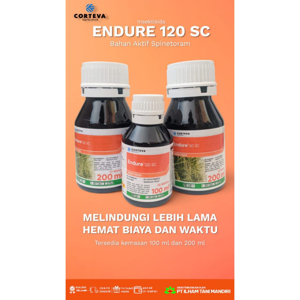 ENDURE 100 ML