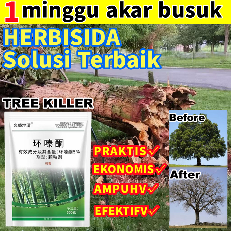 racun rumput paling ampuh Racun Pohon Besar tree killer obat pembasmi rumput Bambu pohon palem Racun
