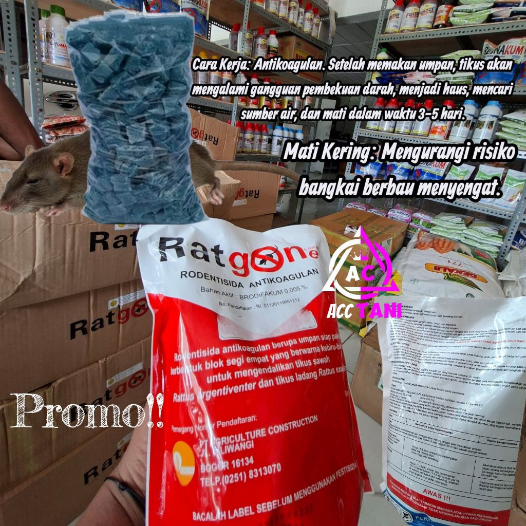 AMPUH RACUN TIKUS RATGONE RODENTISIDA