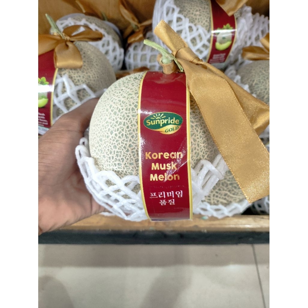 buah melon korea sunpride gold melon import Korea original 1 pcs