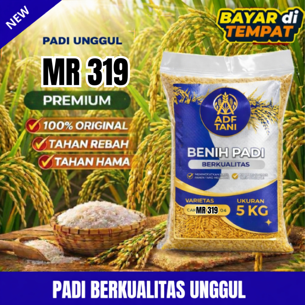 Benih padi unggul mr 319 benih padi unggul 5kg