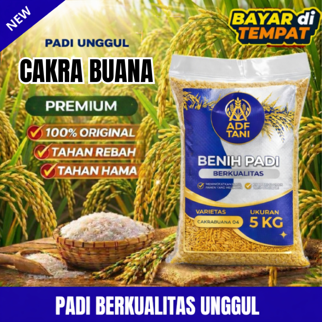 Benih bibit padi unggul cakrabuana 04 original 5kg