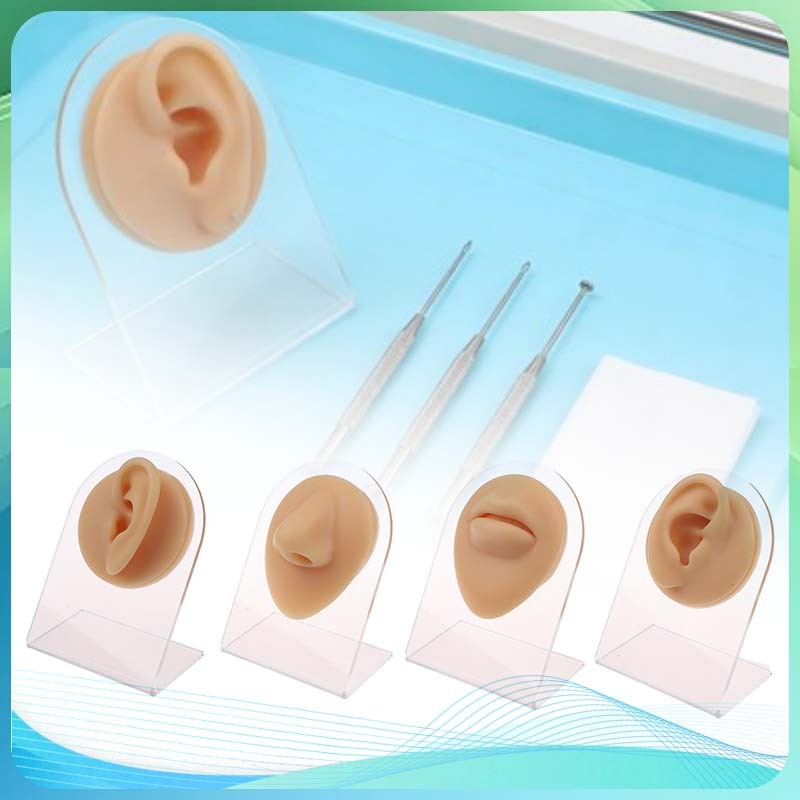 Alat Bantu Mengajar Piercing Model Telinga Silikon Display Perhiasan Anting Alat Peraga Tindik Telin