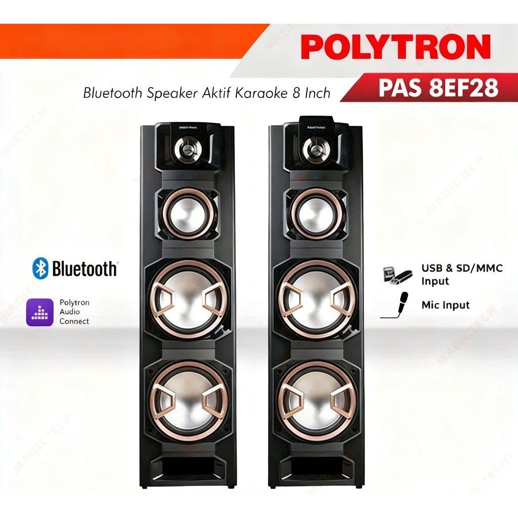 Polytron Spiker Bluetooth PAS 8EF28