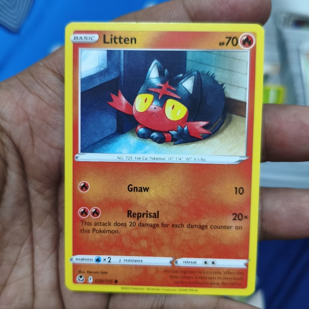 litten tcg pokemon / kartu pokemon