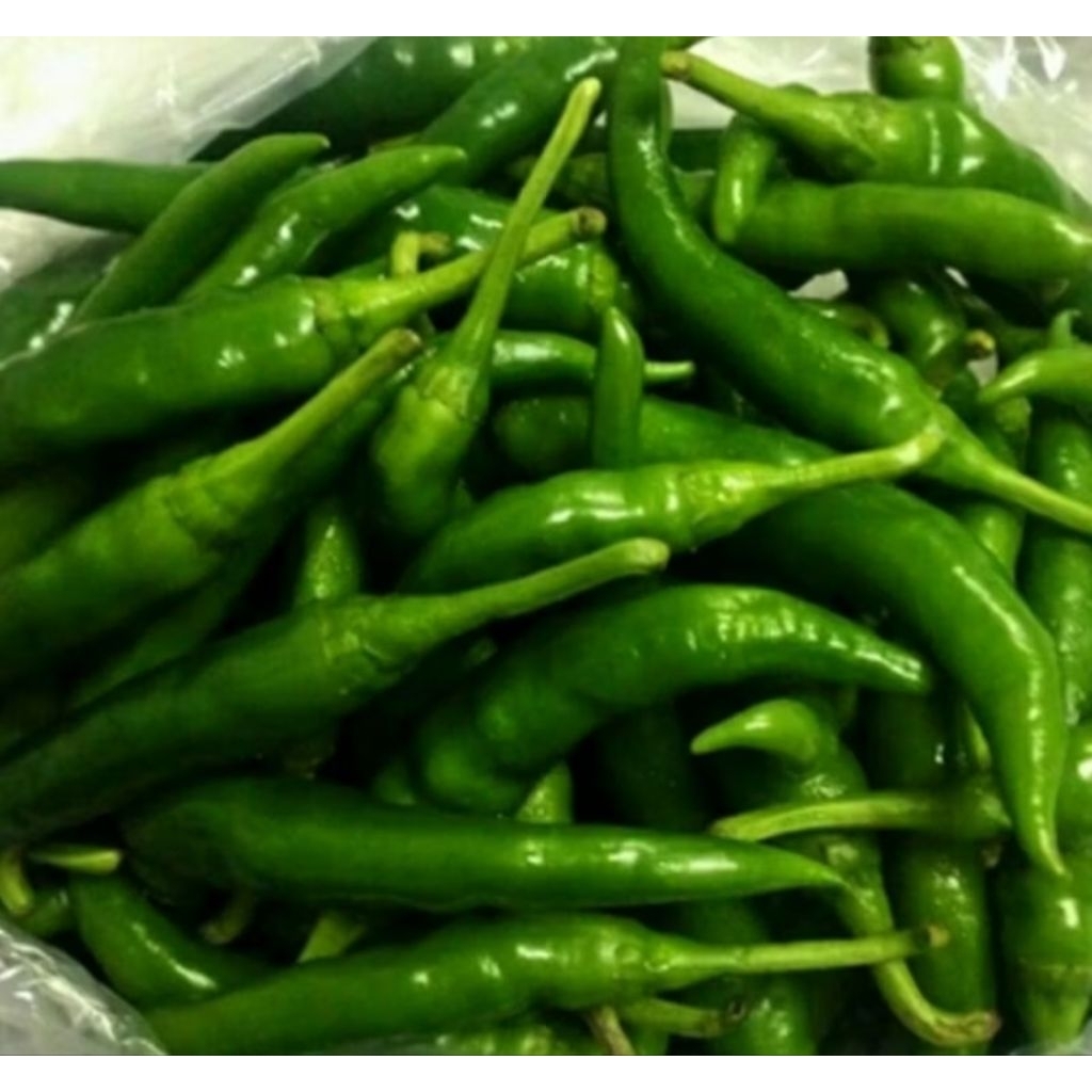 CABE HIJAU BESAR / CABAI IJO / CHILI